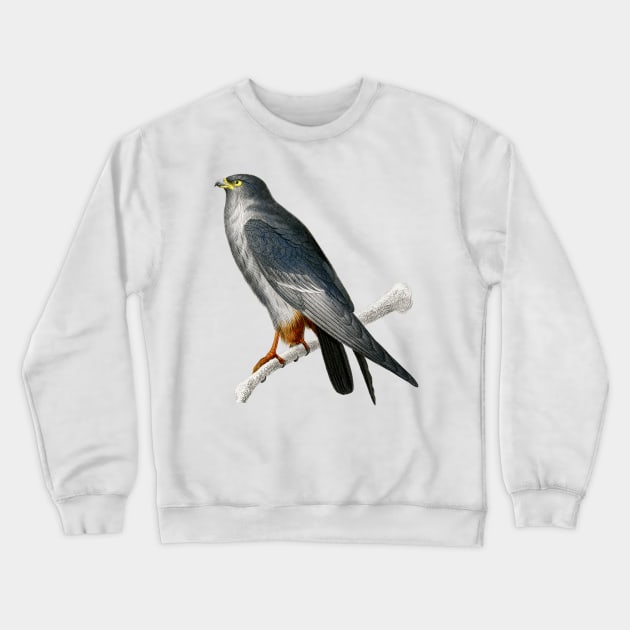 Vintage red-footed falcon bird-animalia clothing Crewneck Sweatshirt by Phantom Troupe